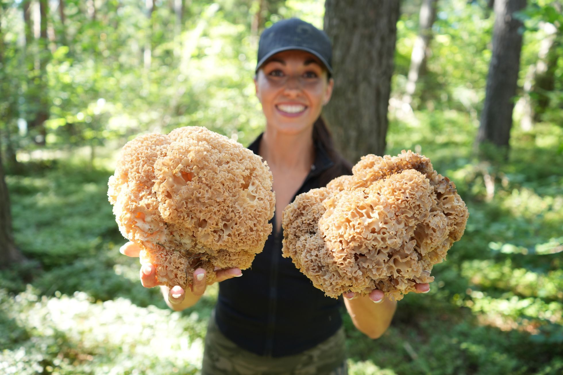 šumavská houbička, houbaření, houby