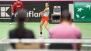 Plíšková vs. Buzarnescuová, Fed Cup Česko vs. Rumunsko