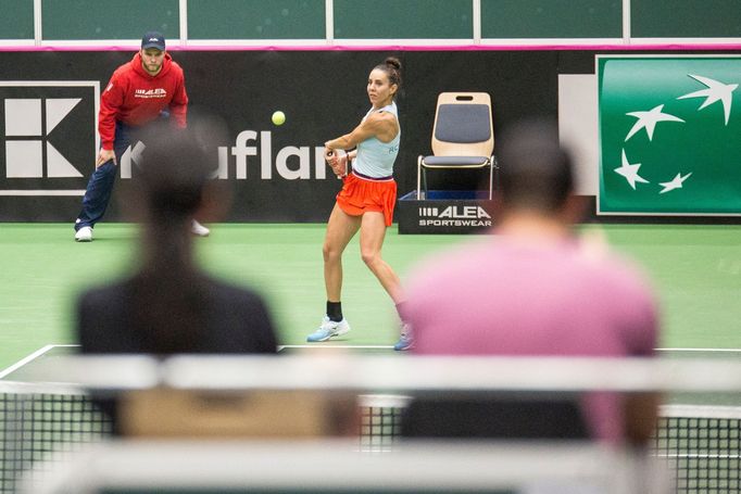 Plíšková vs. Buzarnescuová, Fed Cup Česko vs. Rumunsko