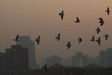 Na Nový rok se čínská metropole Peking znovu začala topit ve štiplavém šedém smogu.