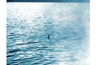 Loch Ness, duben 1934: tzv. „Chirurgova fotografie“ R. K. Wilsona v plném záběru; ikonický snímek později odhalen jako podvrh s modelem. Kolorováno
