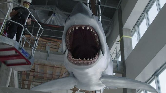 Jediný model žraloka z Oscarem oceněného filmu Čelisti, který přežil, našel svůj domov v muzeu filmů v Los Angeles.