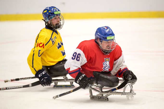 MS v parahokeji 2019, Česko - Švédsko: Zdeněk Krupička