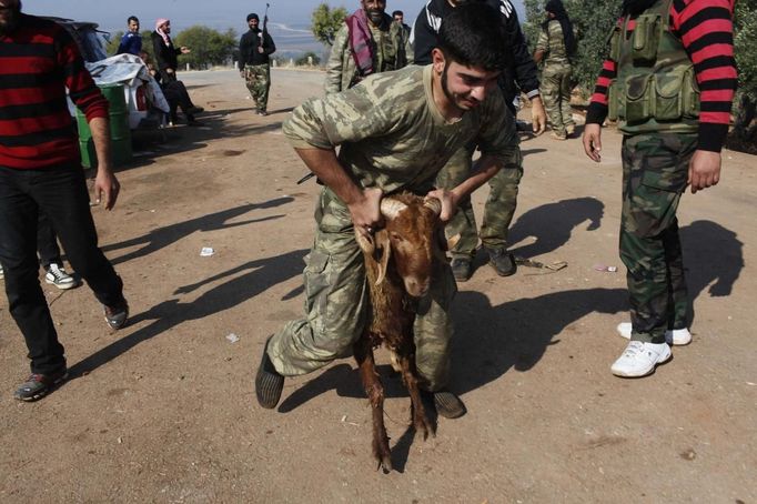 A Free Syrian Army fighter holds onto a sheep as they prepare to bring it to slaughter to distribute meat to residents on the third day of Eid al-Adha, in Haram town, Idlib Governorate, October 28, 2012. REUTERS/Asmaa Waguih (SYRIA - Tags: CONFLICT RELIGION ANIMALS) Published: Říj. 28, 2012, 10:15 odp.