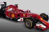 Název Ferrari F14 T vyhrál v internetové anketě příznivců italské stáje, jíž se zúčastnilo přes 1,1 milionu hlasujících.