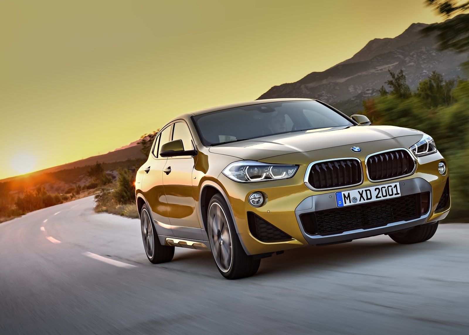 BMW X2