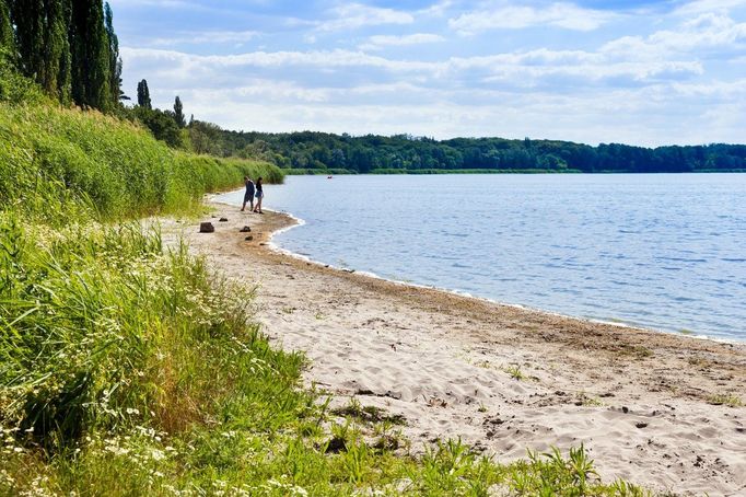 Pláž na břehu Mlýnského rybníka. Národní přírodní rezervace Lednické rybníky na Břeclavsku. Jižní Morava. Rok 2018