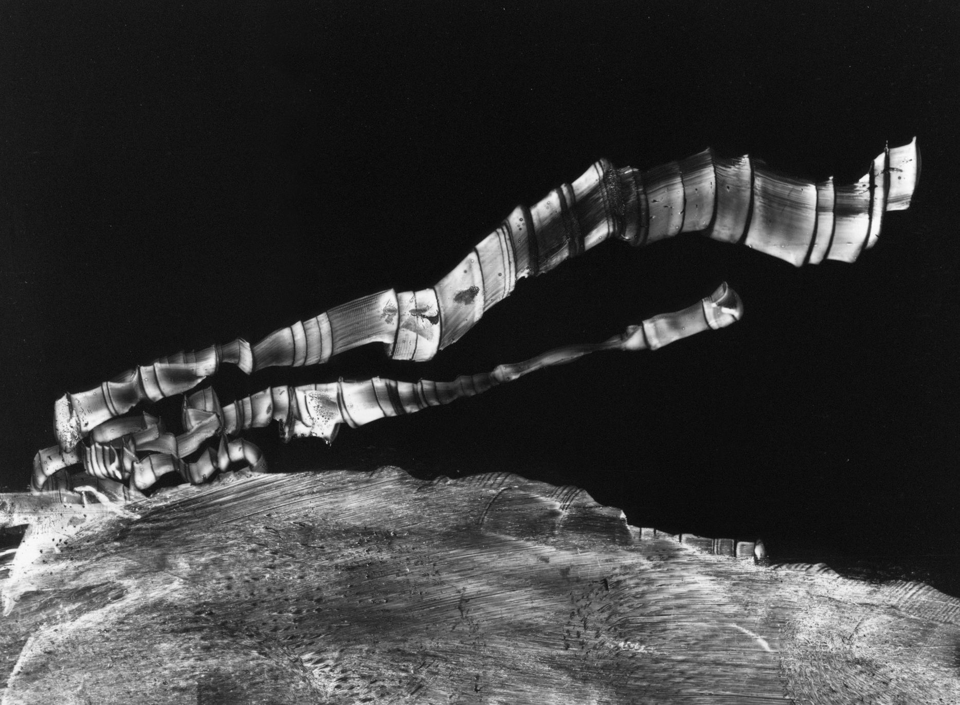 Výstava: Vilém Reichmann. Každá věc je počátkem básně, Vilém Reichmann, fotograf, výstava, Brno, Foto, Magazín