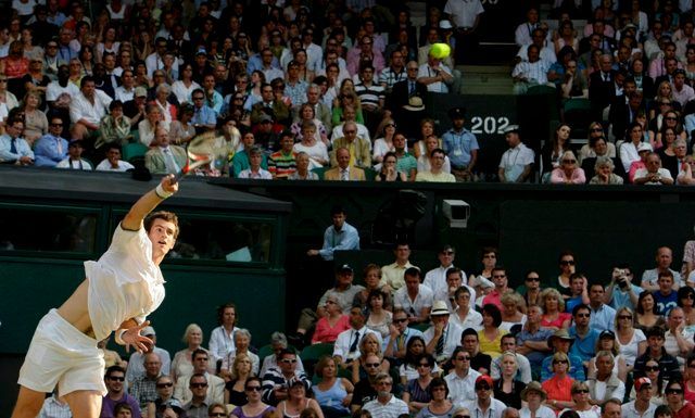 Andy Murray na Wimbledonu
