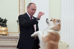 Je to o ekonomice? Putin dál vládne benzinové pumpě převlečené za stát, přesto vypadá jako vítěz