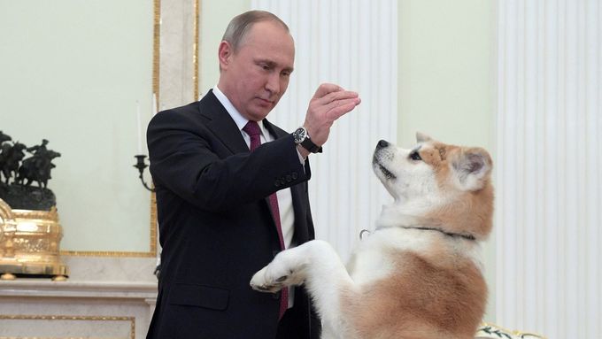 Vladimir Putin si hraje se svým psem Jumem, prosinec 2016.