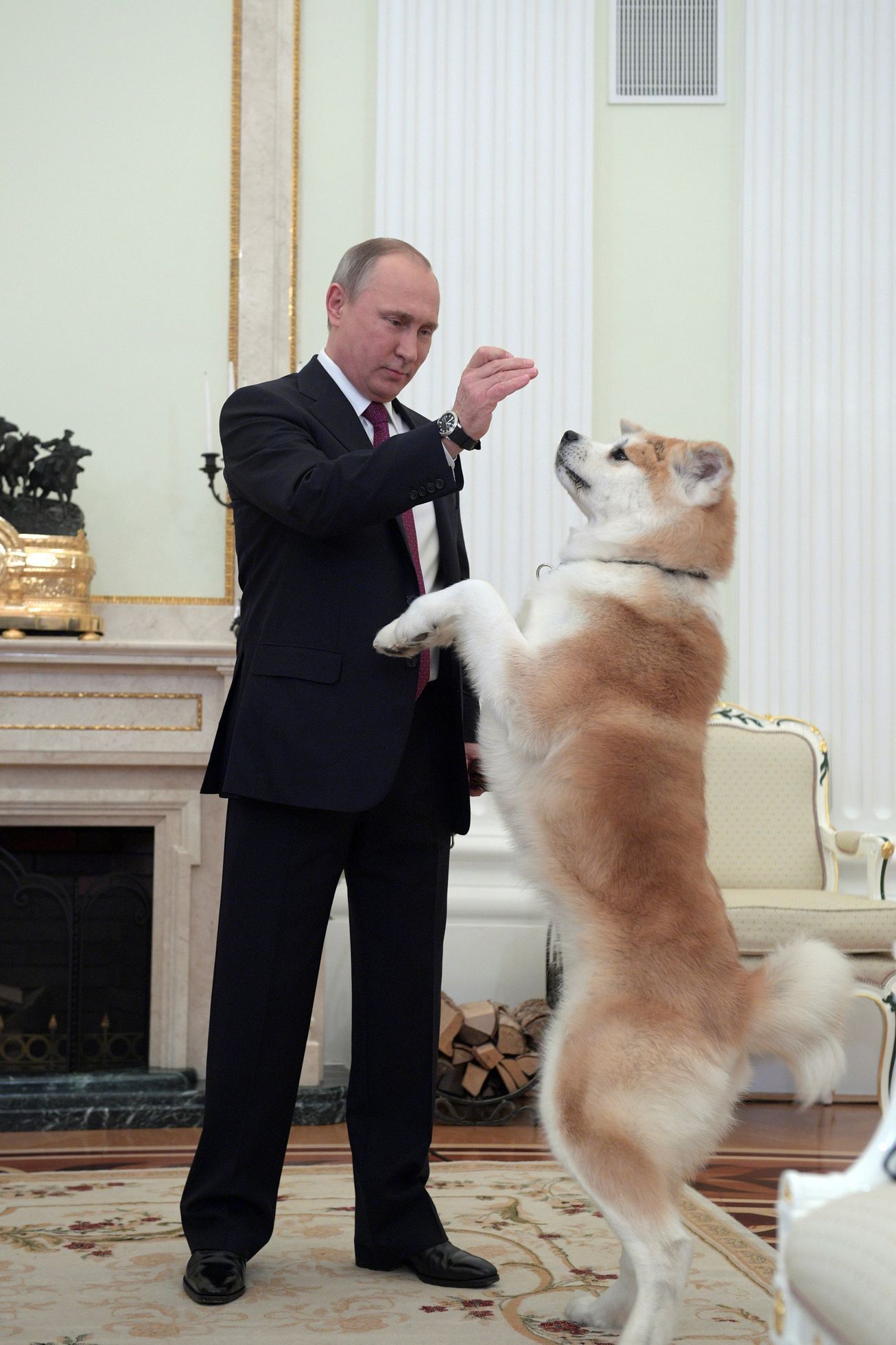 Vladimir Putin pes Jume