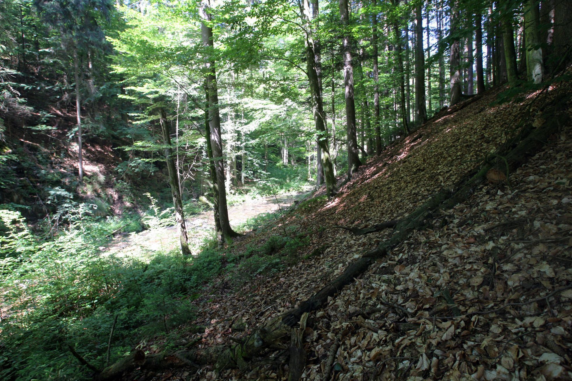 Přehrada Pěčín