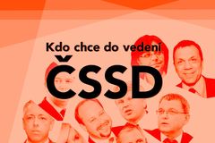 Grafika: Chtějí vládnout sociální demokracii. Seznamte se