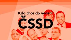 grafika - sjezd ČSSD 2015 - ikona