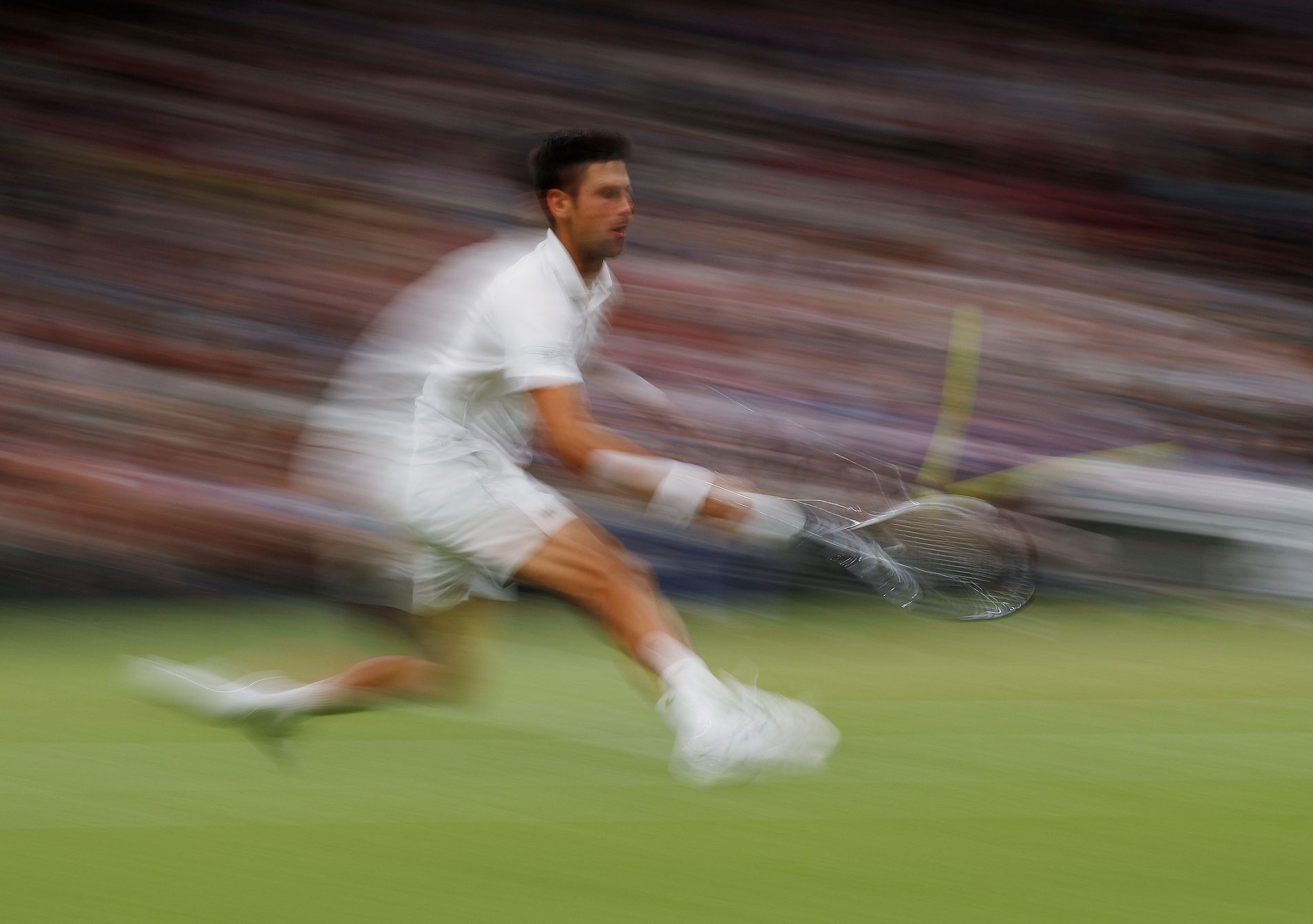 Wimbledon 2018 (Novak Djokovič)