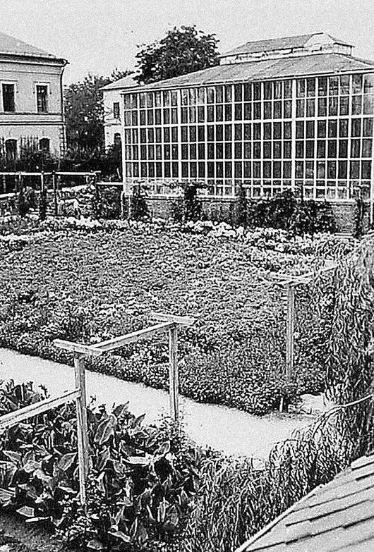 První expoziční skleník, sloužící v letech 1930-1973. | Foto: Botanická zahrada Liberec / www.botaniliberec.cz