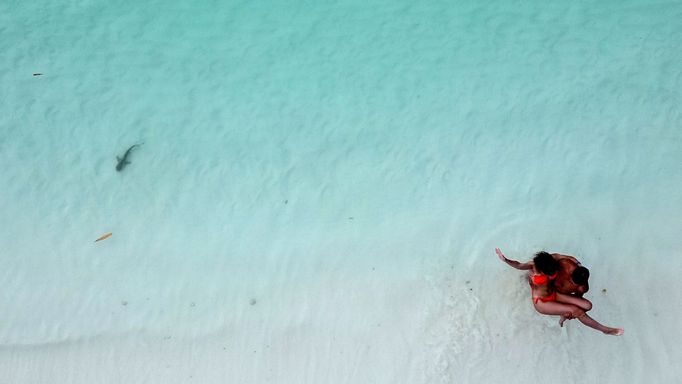 Thajská zátoka Maya Bay, kde turisté pozorují žraloky černoploutvé.