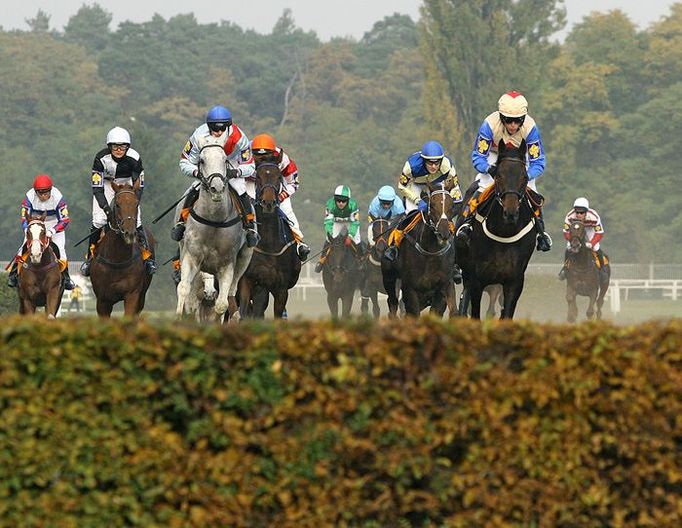 Jezdecké pole 118. Velké pardubické krátce po startu.