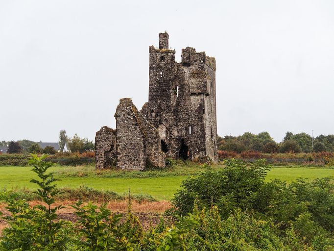 Strašidelný hrad Charleville a tajemný druidský les poblíž irského Tullamore