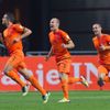 Nizozemsko - Turecko kvalifikace na MS 2014