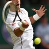 Wimbledon 2014: Štěpánek - Djokovič