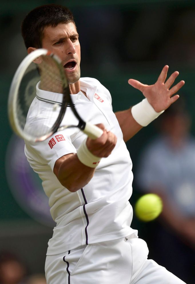 Wimbledon 2014: Štěpánek - Djokovič