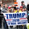 Trumpovi stoupenci, Washington, leden 2017
