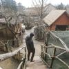 Zoopark Zájezd u Kladna, soukromá zoo, zvířata, chameleon, lemur