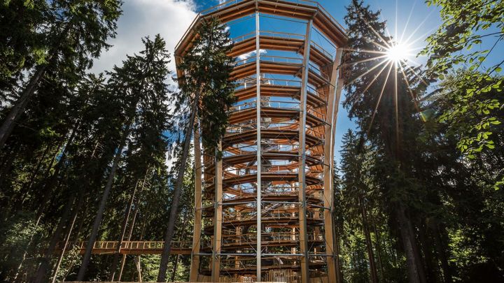 Les tak trochu jinak. Stezka korunami stromů Krkonoše má v létě unikátní program; Zdroj foto: Stezka korunami stromů Krkonoše