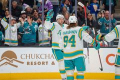 Hertl a Kubalík dali dva góly, Vejmelka vychytal Arizoně výhru