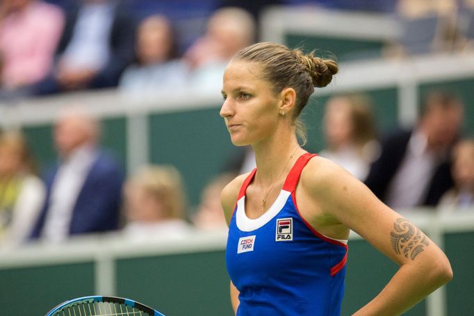 Plíšková vs. Buzarnescuová, Fed Cup Česko vs. Rumunsko