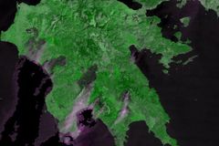 Evropský počítačový program hlídá americké lesy