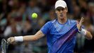 Davis Cup, finále Srbsko-ČR: Tomáš Berdych