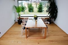 Jak vybrat podlahy z Plzně pro moderní domov i sportovní halu