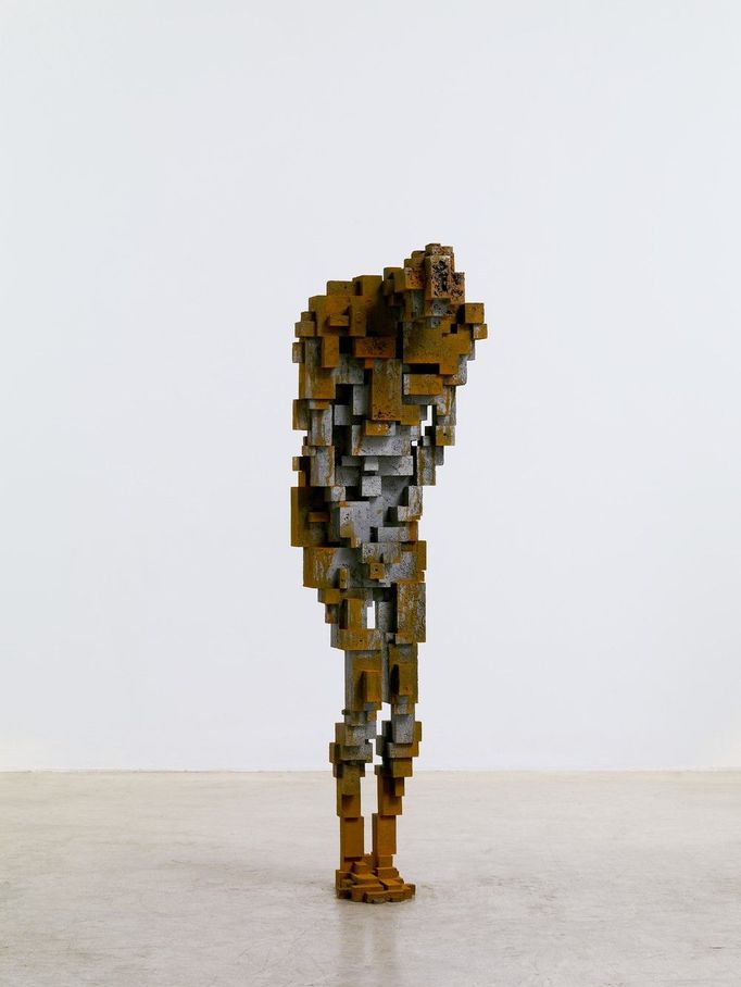 Antony Gormley - Haft II, 2008