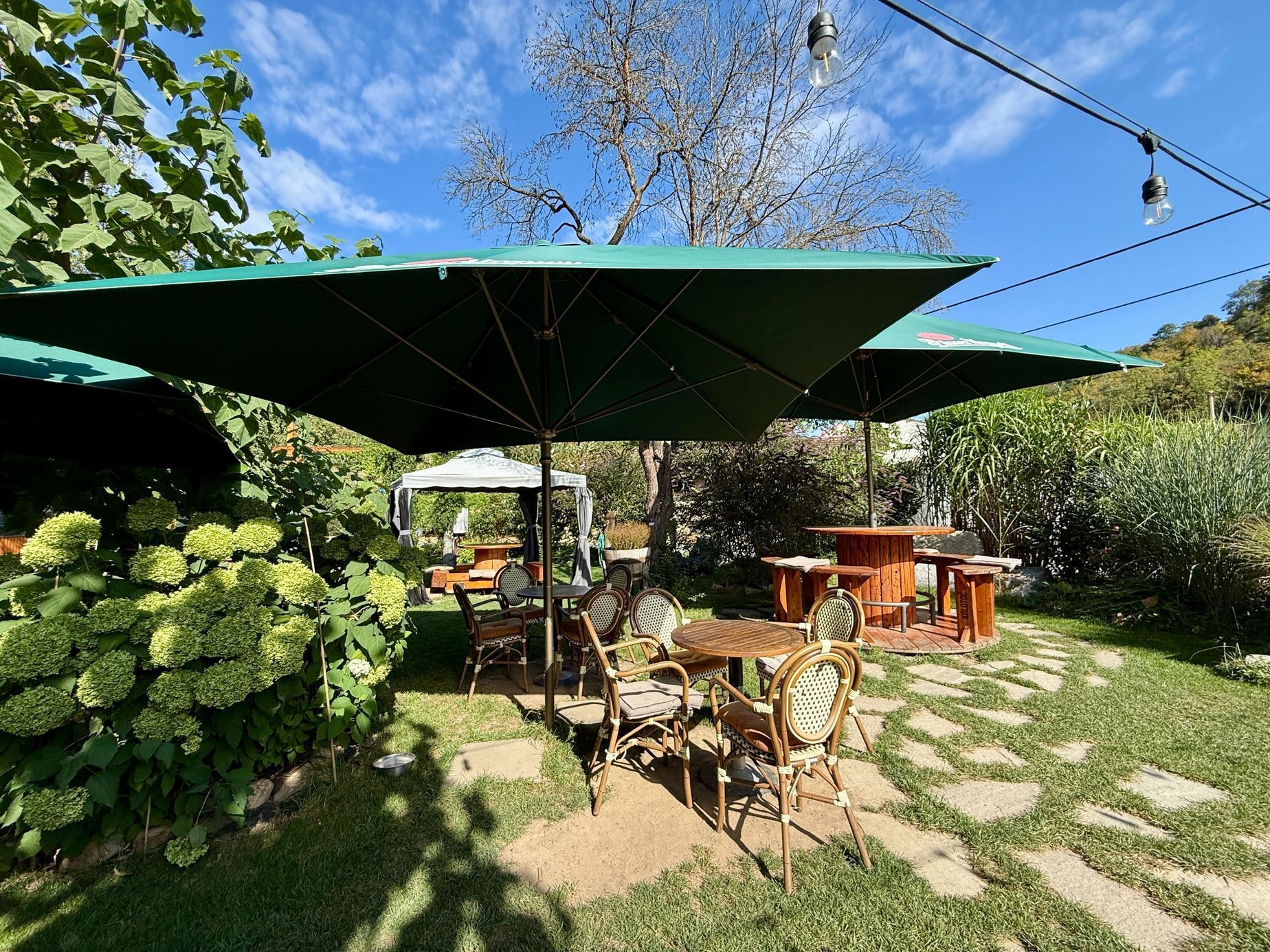 The Garden, bistro, jídlo, Srbsko, příroda, zahrada