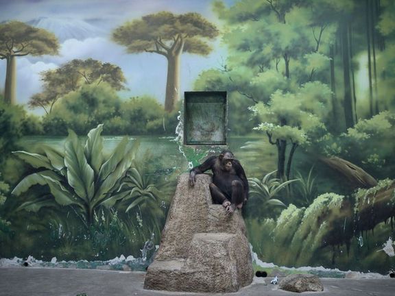 Zed Nelson získal titul Fotograf roku.