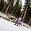 SP Pokljuka, štafeta Ž: Lucie Charvátová