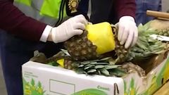 Pašeráci ukrývali kokain ve zdánlivě čerstvých ananasech.