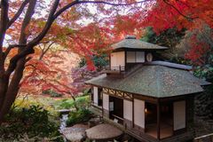 Bydlení v Japonsku: dům s vlastním horkým pramenem za cenu garsonky na okraji Prahy