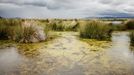 Jezero Titicaca, ležící v centrální oblasti And v Jižní Americe, dlouhodobě ohrožuje stoupající úroveň znečištění.