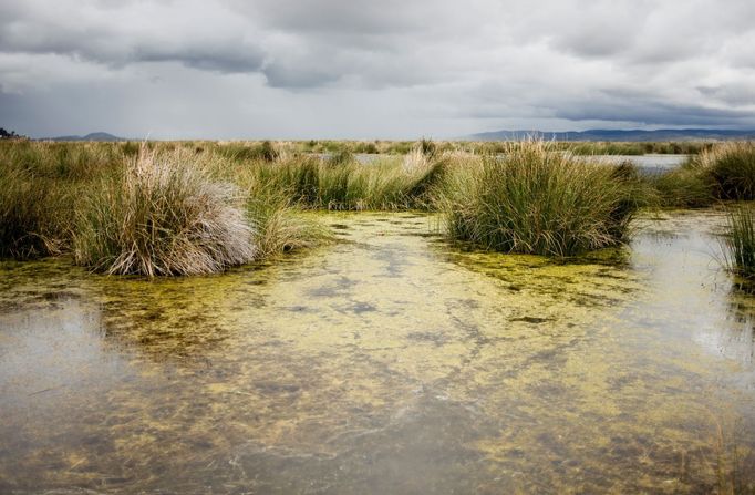 Jezero Titicaca, ležící v centrální oblasti And v Jižní Americe, dlouhodobě ohrožuje stoupající úroveň znečištění.