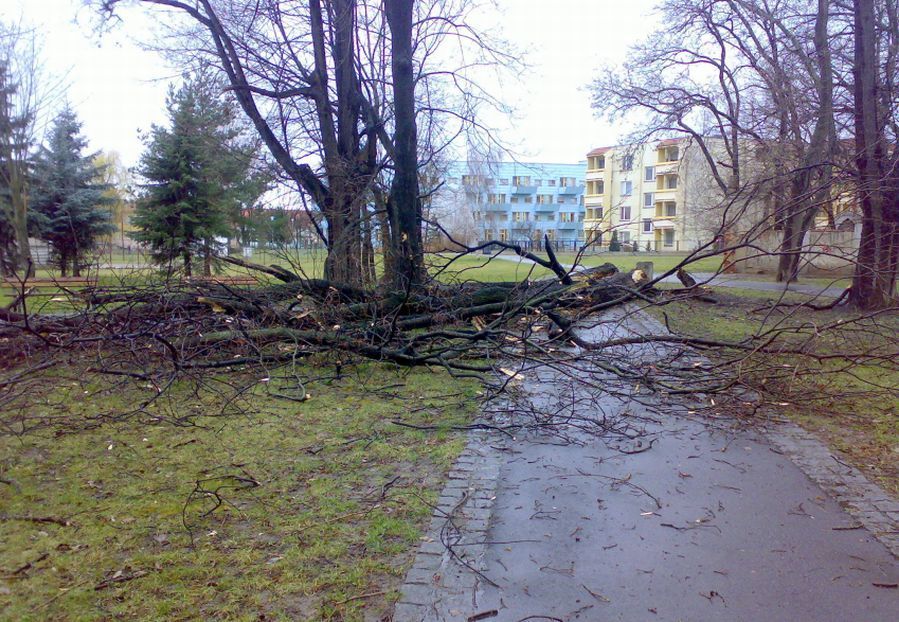 vichřice