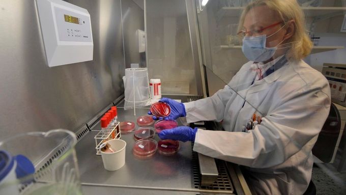 Na univerzitní klinice v Eppendorfu zkoumají vzorky smrtonosné baktérie E. coli.