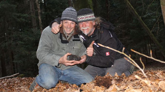 Tak byl nalezen unikátní meteorit: Češi přesně vypočítali jeho pádovou oblast, dva němečtí hledači ho našli - v lese a pod zemí.