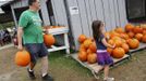 Customers shop for pumpkins at Stribling Orchard in Markham, Virginia, October 6, 2012. According to the U.S. Department of Agriculture, pumpkin prices are up 7 percent nationally over 2011 as consumers prepare for the upcoming Halloween and Thanksgiving seasons. REUTERS/Jonathan Ernst (UNITED STATES - Tags: SOCIETY ENVIRONMENT AGRICULTURE) Published: Říj. 6, 2012, 10:15 odp.