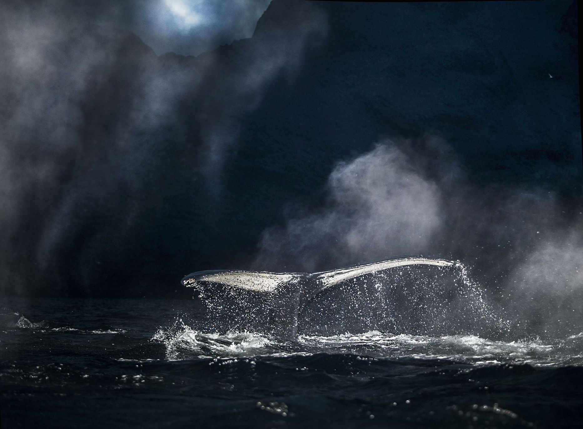 SIPA - fotosoutěž - fotoseriál