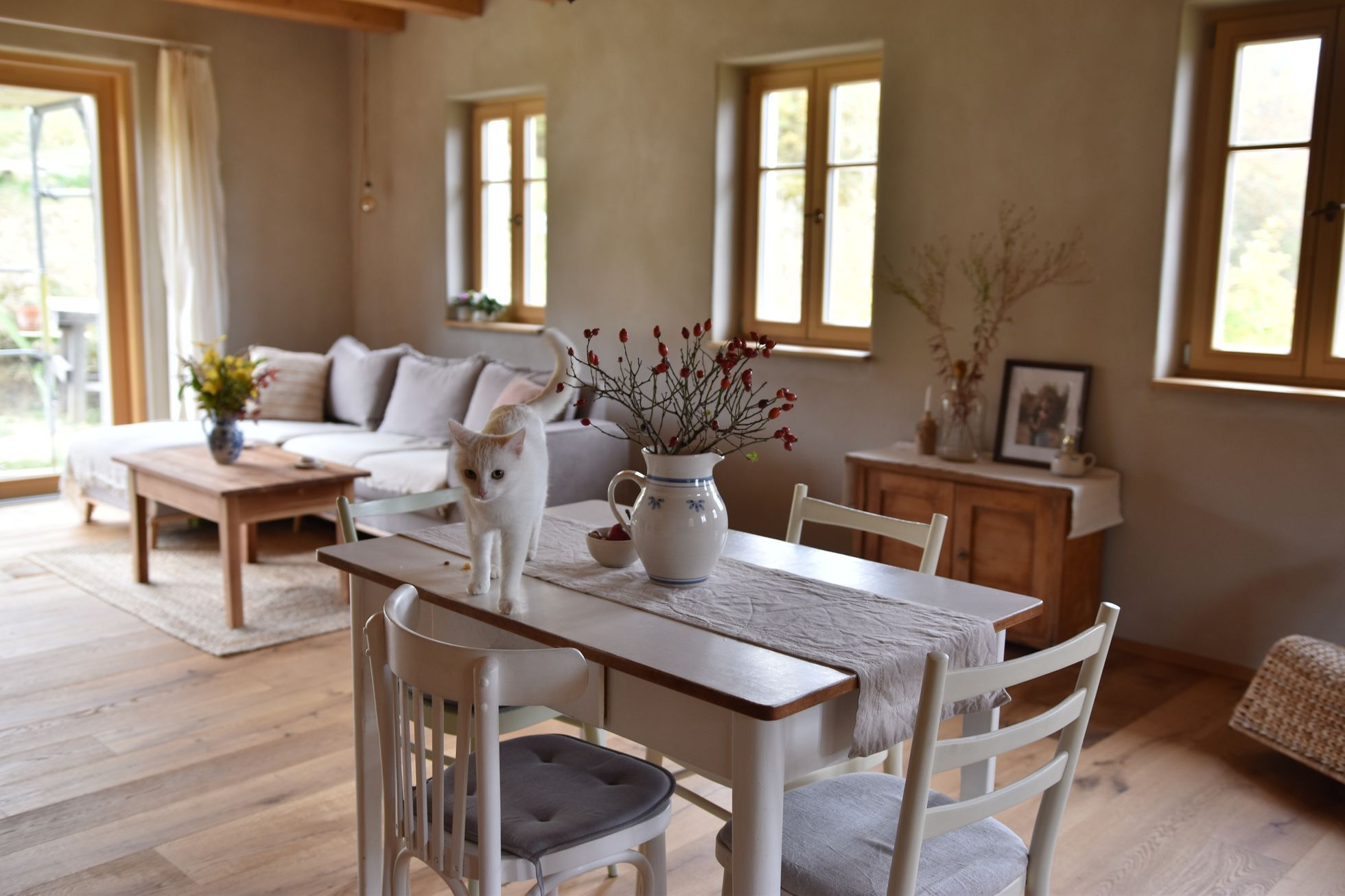 domeček na kopci, dům, rekonstrukce, zahrada, příběh