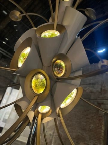 Benátky Bienále 2025, architektura, výstava